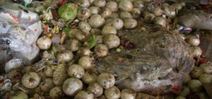 Rohmaterialien Marktabfälle