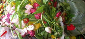 Rohmaterialien Blumen