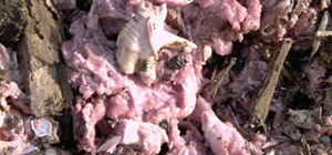 Rohmaterialien Schlachtabfälle