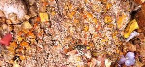 Rohmaterialien Speisereste