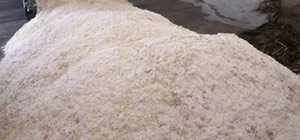 Rohmaterialien Kokosfasern